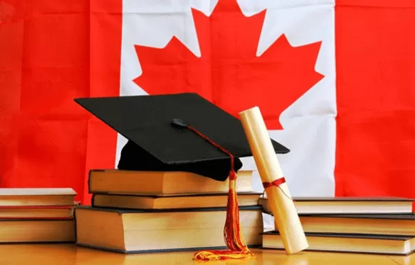 Du học Canada 2024: Điều kiện, chi phí và học bổng, visa